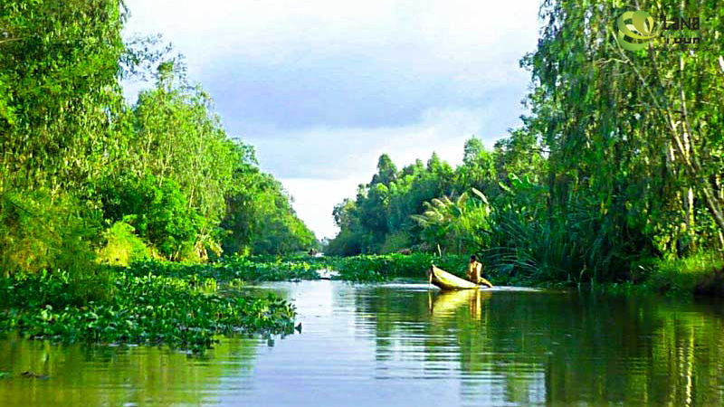 Mekong Delta in Deep